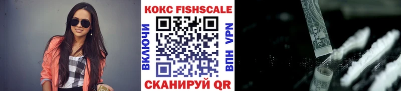 Купить закладки Верхняя Пышма COCAIN Fish Scale