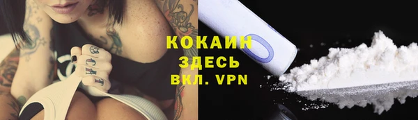 стаф Горняк