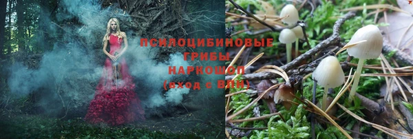 прущие крисы Горнозаводск
