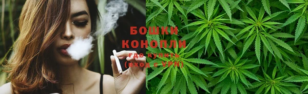 трава Вязьма