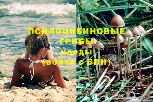 трава Вязьма