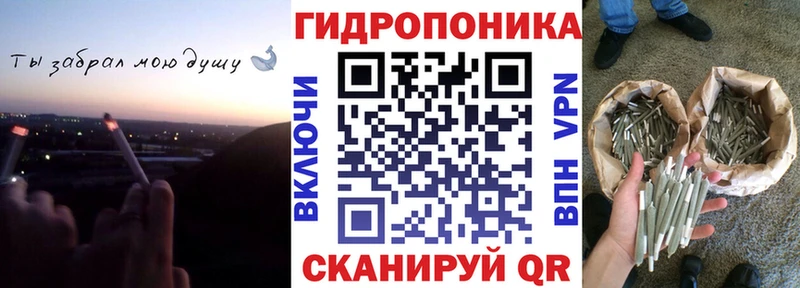 Канабис конопля Верхняя Пышма